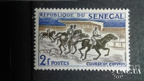 Сенегал спорт скачки кони лошади фауна ** о