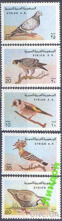 Сирия 1978 птицы фауна ** о
