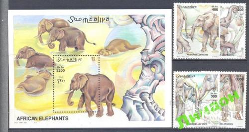 Сомали 2000 фауна Африки слоны ** о