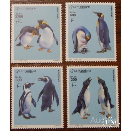 Сомали 2001 пингвины птицы фауна Антарктида ** м