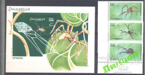 Сомали 2002 фауна насекомые пауки ** о