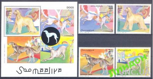 Сомали 2003 охота россика собаки фауна ** о