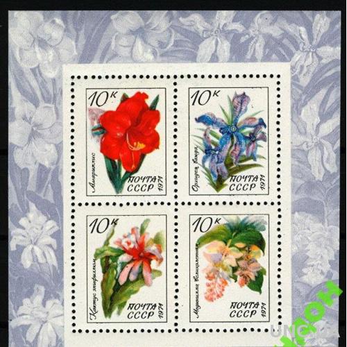 СССР 1971 флора цветы блок ** м