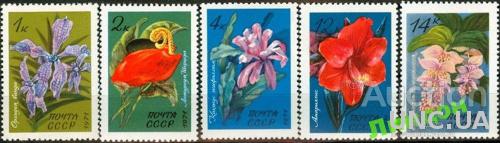 СССР 1971 флора цветы орхидеи кактусы ** с