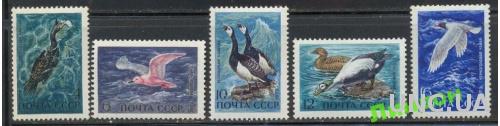 СССР 1972 морская фауна птицы **