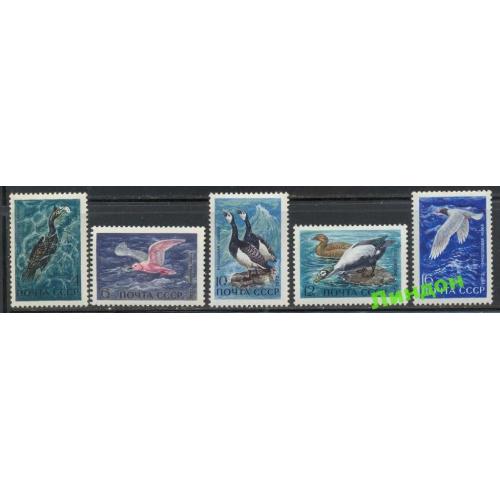 СССР 1972 морская фауна птицы **