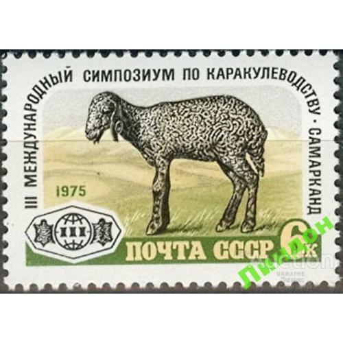 СССР 1975 Каракулеводство фауна овцы горы **