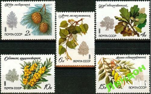 Марка 5 штук СССР 1980 флора деревья шишки ** есть кварт