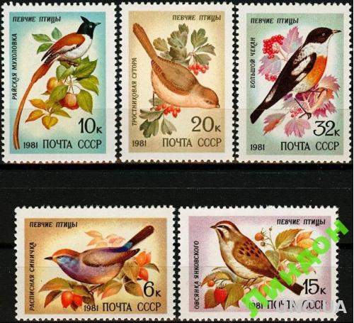 СССР 1981 фауна птицы **