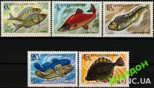Марки 5 штук СССР 1983 морская фауна рыбы Украина ** мсо