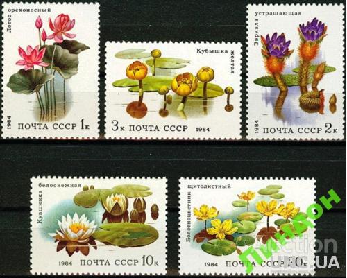 СССР 1984 флора цветы водные растения ** есть кварт