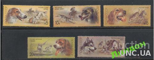 СССР 1988 фауна собаки медведи птицы кони охота ** есть кварты