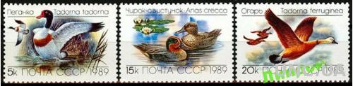 СССР 1989 фауна птицы утки флора **