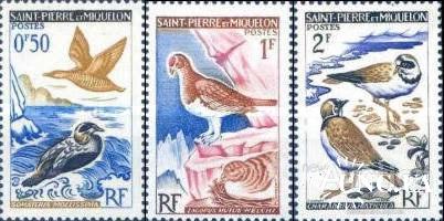 Ст. Пьер и Микелон 1963 птицы фауна 3м ** о