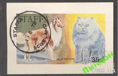 Стаффа1972 собаки коты кошки фауна гаш