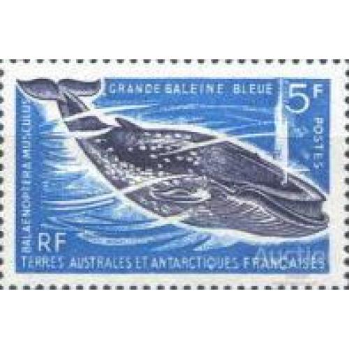 ТААФ 1966 морская фауна киты Антарктида ** о