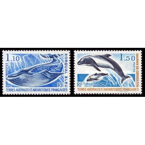 ТААФ 1977 морская фауна киты Антарктика ** о