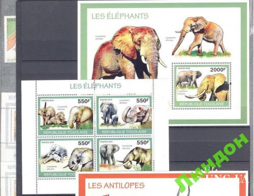 Того 2010 фауна Африки слон ** о
