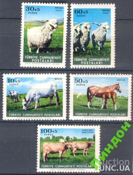 Турция 1964 фауна домашняя кони лошади коровы ** о
