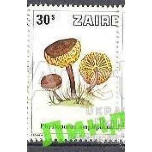 Заир 1979 грибы флора 1м ** о