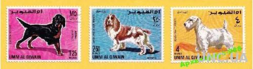 1967 ОАЭ Собаки Фауна Животные Природа Гашен. 3м.
