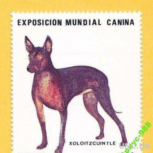ФАУНА 1984 Мексика Животные Собаки Полн. серия**
