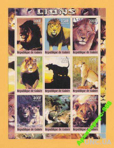 ГВИНЕЯ 2000 ЛИСТ Животные Львы Кошки МЛ 9м. БЛОК**