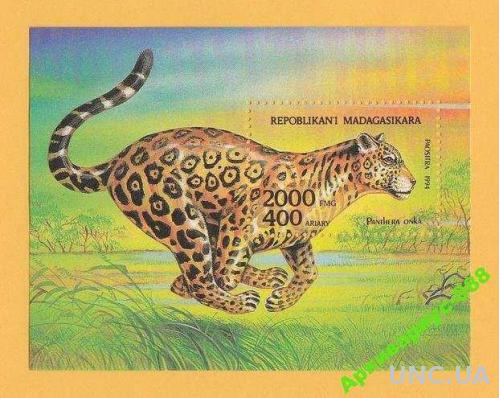 МАДАГАСКАР 1994 Животные Кошки Леопард БЛОК MNH**