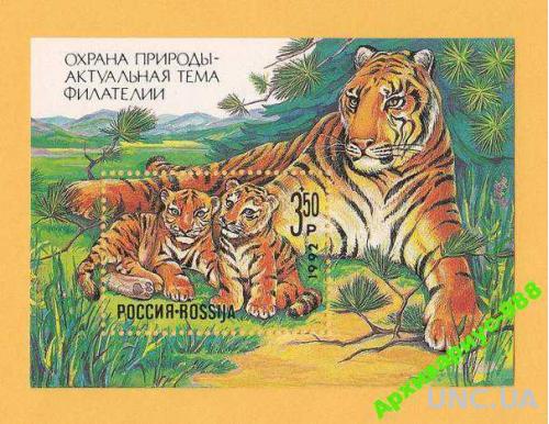 Блок марок Россия 1992 Животные Тигры Фауна Тигр Кошки **