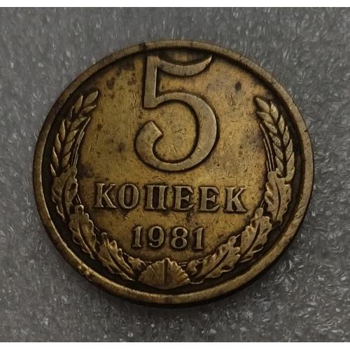 СССР 1981 год. 5 копеек