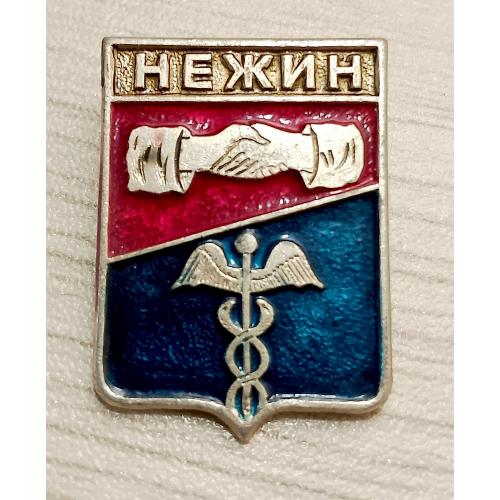 Значок Нежин