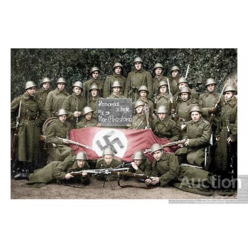 Чехословаки с добытым в бою трофейным немецким флагом в немецко-чехословацкой войне 1939 г