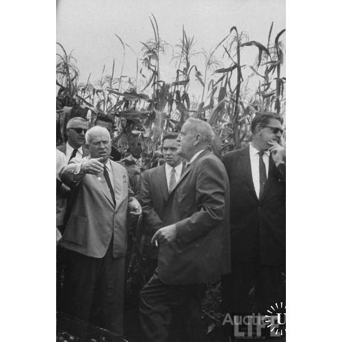 Никита Хрущев в кукурузе у своего друга Гарста.