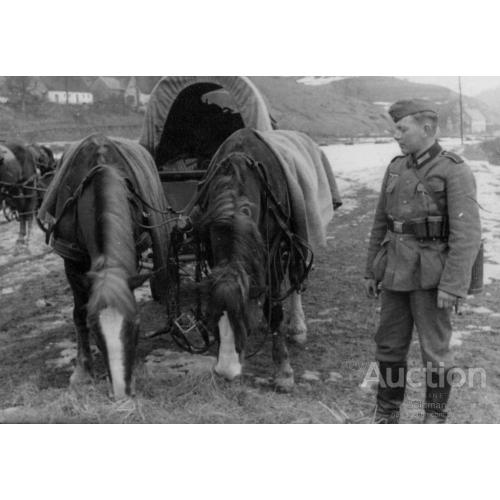 Солдат вермахту годує конів сіном.