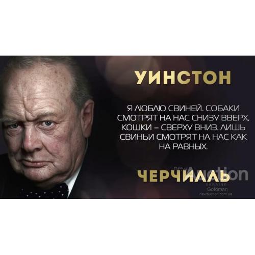 Я люблю свиней. Уинстон Черчилль.