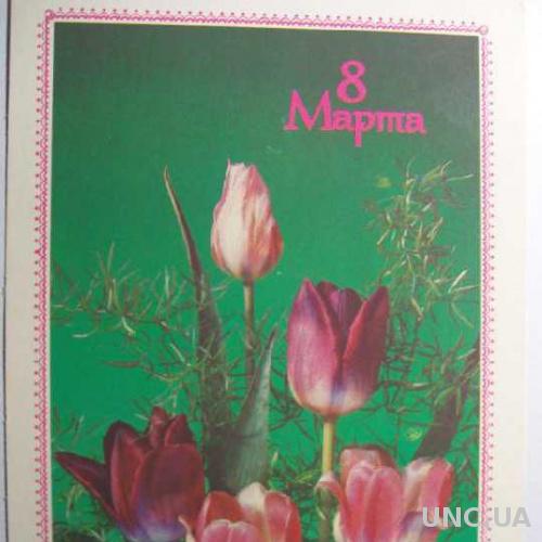 8 МАРТА. Тюльпаны фото Дергилева 1989 год