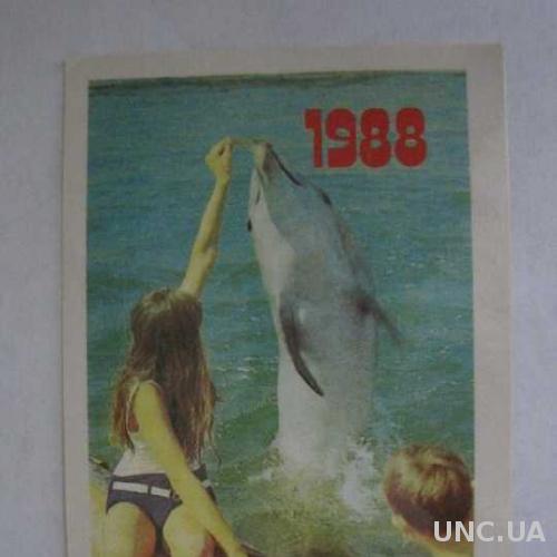 Дети и дельфин 1988 год