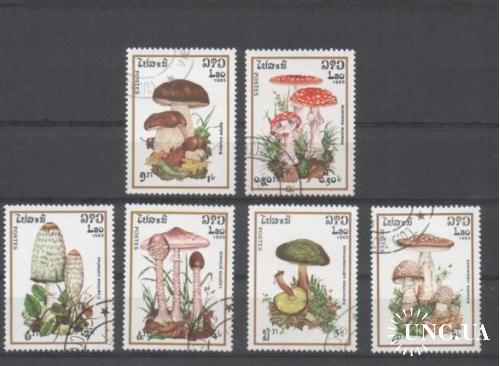 Лаос флора / грибы 1985год серия
