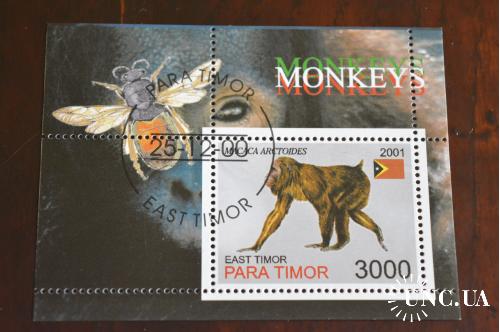 Тимор. Фауна. 2001 год