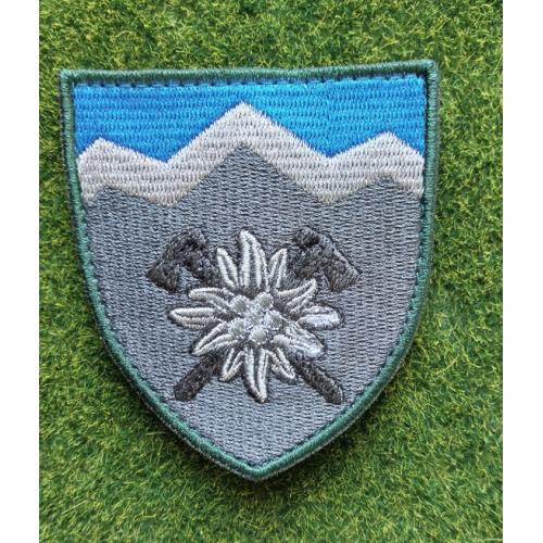 Шеврон 10 окрема гірсько-штурмова бригада​  10 огшбр № 3143