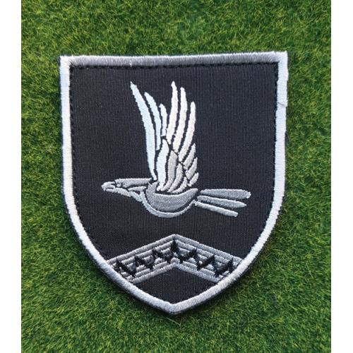 Шеврон 10 ОШБ у складі 59 Окремої штурмової бригади безпілотних систем № 2007