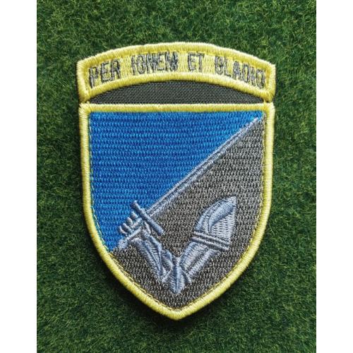 Шеврон 117-я отдельная тяжёлая механизированная бригада (117 ОТМБр) № 3108