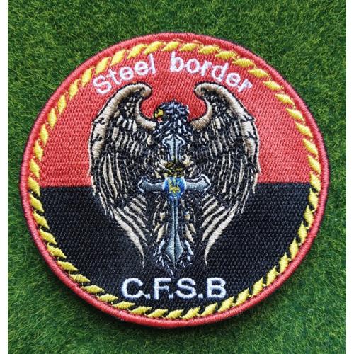 Шеврон 142 бригада 2 окремий пехотный батальон Сталевий Кордон № 2756