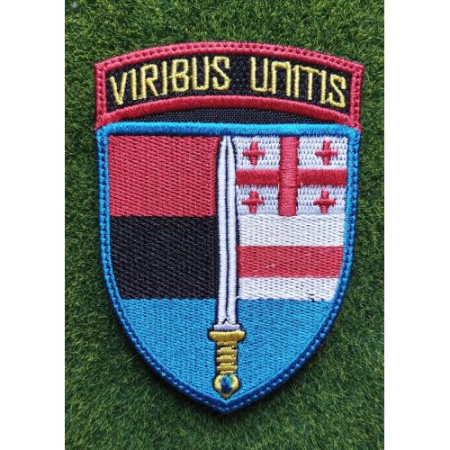 Шеврон 2 батальйону Інтернаціонального легіону України № 2811