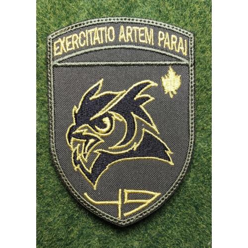 Шеврон 49 Навчальний центр розвідки № 3190