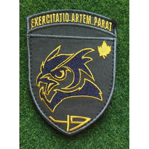 Шеврон 49 Учебный центр разведки ГУР № 1067