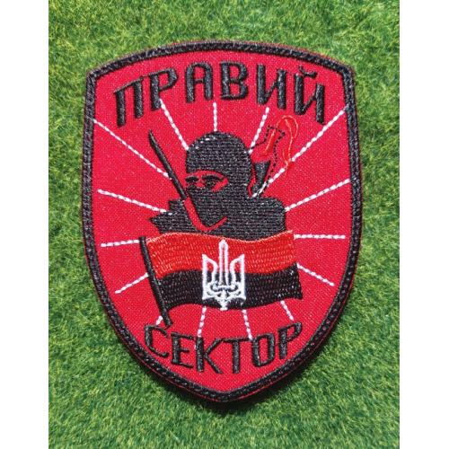 Шеврон Добровольческого украинского корпуса «Правый сектор» № 3527