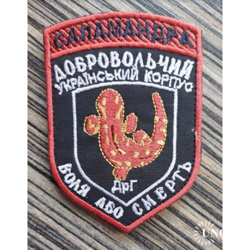 Шеврон Добровольчий український корпус ДрГ Саламандра № 1099