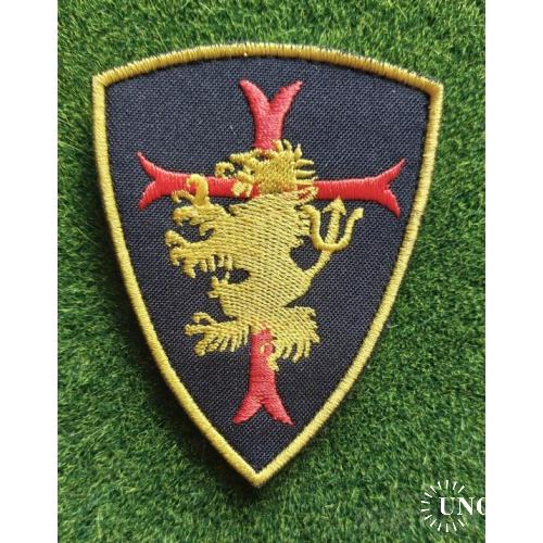Шеврон Force Devgru Seal Team Cross Lion № 1513
