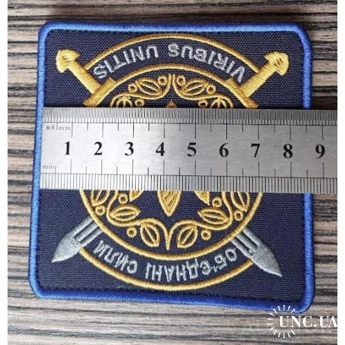 Шеврон Легион обороны Украины "Viribus Unitis" № 207